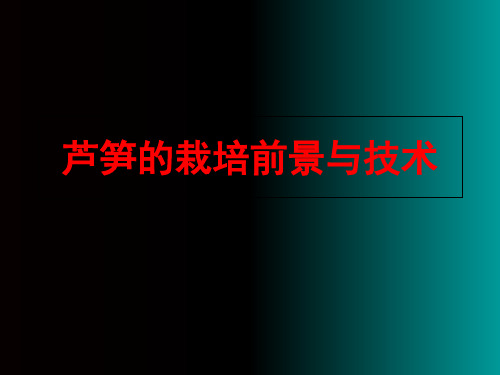 芦笋栽培技术 ppt课件