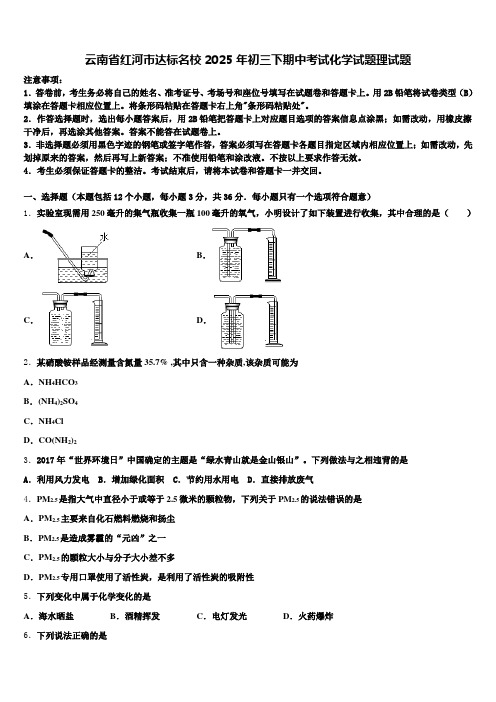 云南省红河市达标名校2025年初三下期中考试化学试题理试题含解析