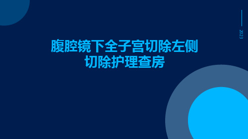 腹腔镜下全子宫切除左侧切除护理查房