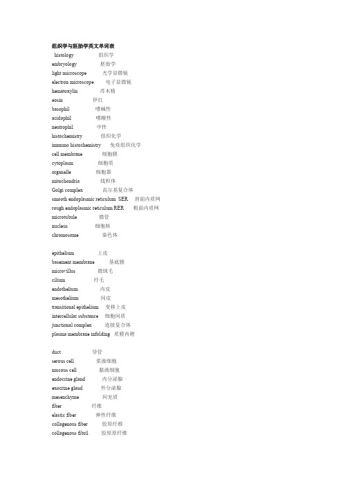 (完整word版)组织学与胚胎学英文单词表(word文档良心出品)