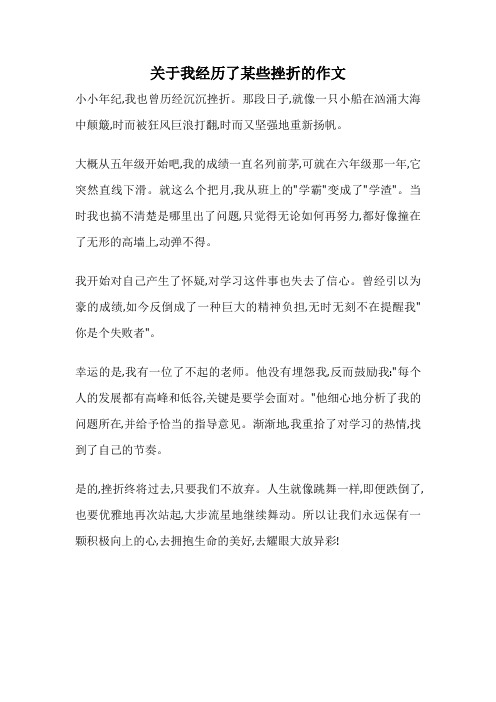 关于我经历了某些挫折的作文