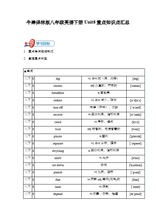 牛津译林版八年级英语下册Unit8重点知识点汇总