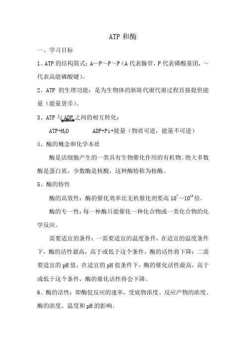 苏教版高中生物必修1ATP和酶3