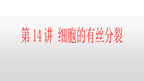 14.细胞的有丝分裂复习课件