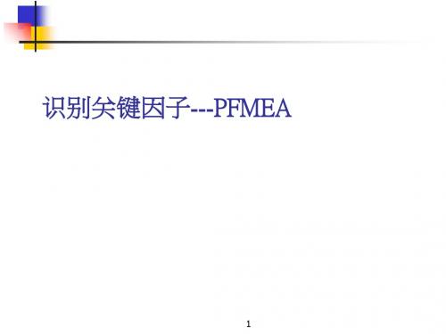 识别关键因子-PFMEA(PPT 111张)