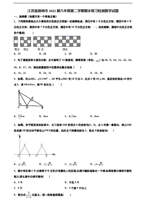 江苏省扬州市2022届八年级第二学期期末复习检测数学试题含解析