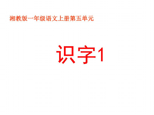 一年级语文上册识字1课件