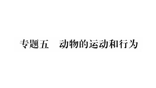 中考生物总复习(冀少版)精品课件：综合突破 专题5 动物的运动与行为