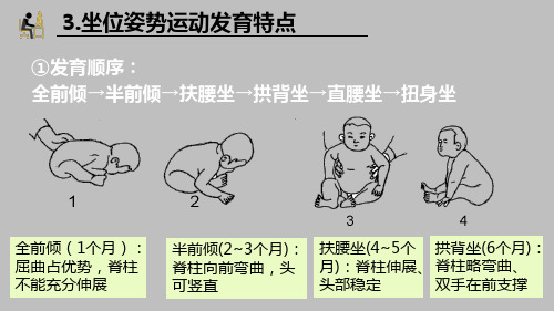 213.5人体发育学课件