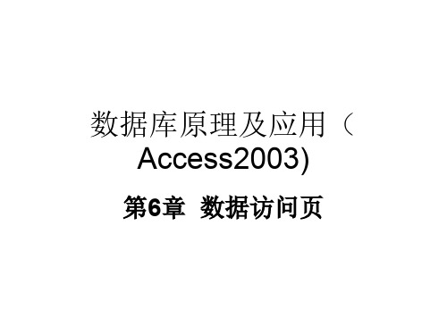 Access数据库数据访问页