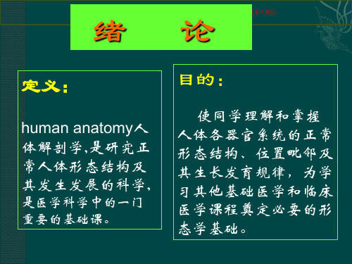 人体解剖学概述培训课件