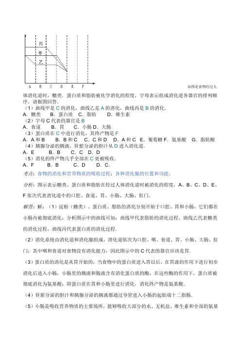 人体食物的消化过程图