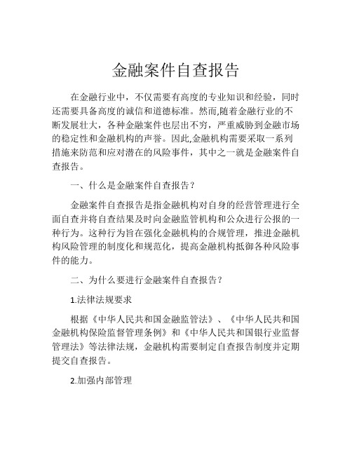 金融案件自查报告