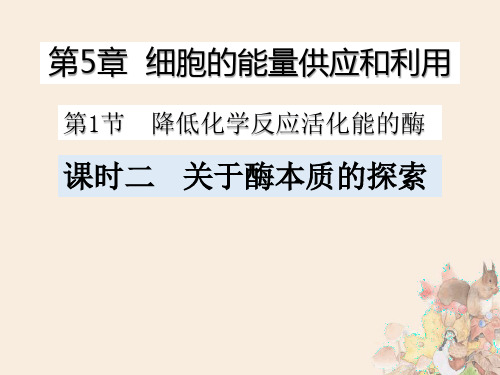 关于酶本质的探索 课例分析修改后PPT