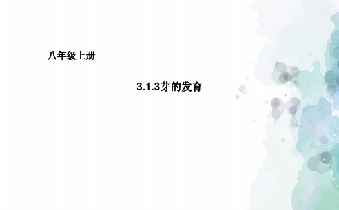 冀少版生物八年级上册3.1.3芽的发育课件