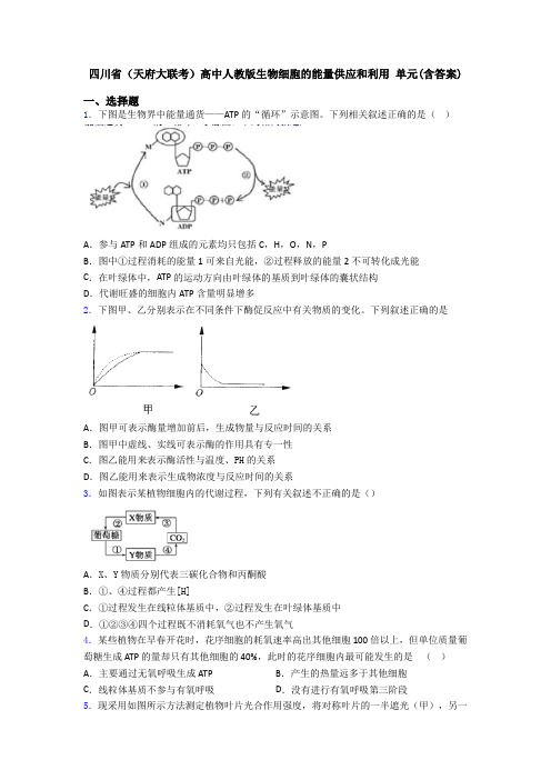 四川省(天府大联考)高中人教版生物细胞的能量供应和利用 单元(含答案)