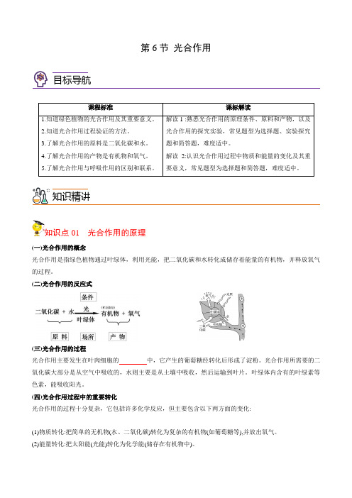 2022年初中科学同步讲义(浙教版) 八年级下册 第3章 第6节 光合作用(学生版)