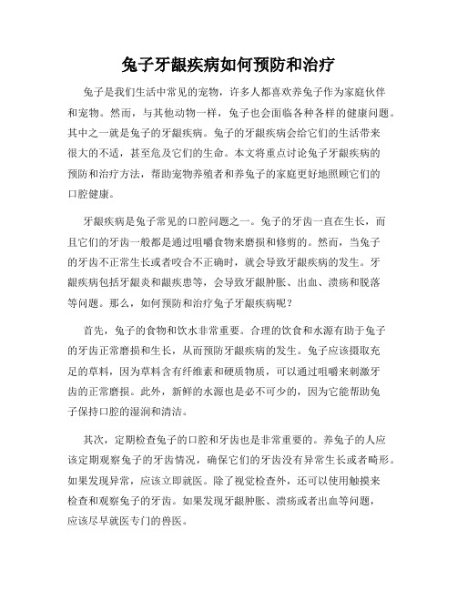 兔子牙龈疾病如何预防和治疗