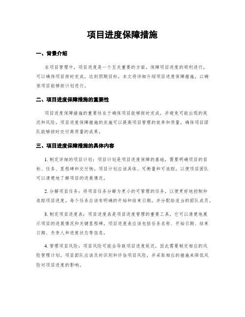 项目进度保障措施