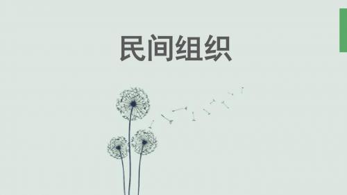 民间组织