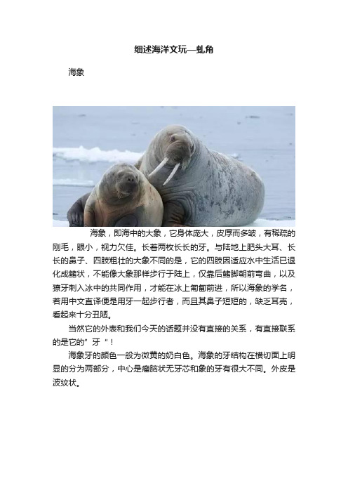 细述海洋文玩—虬角