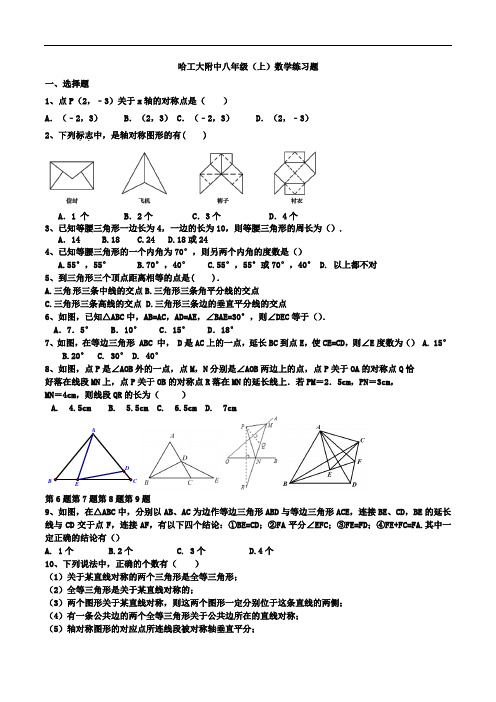 黑龙江省哈尔滨市工大附中2020-2021学年八年级(上)数学练习题