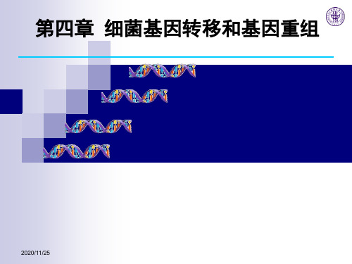 微生物遗传学第四章 细菌转移(2)