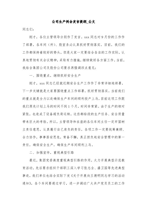 公司生产例会发言提纲_公文