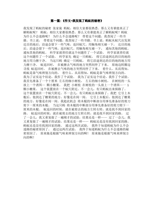 我发现了蚂蚁秘密400字作文