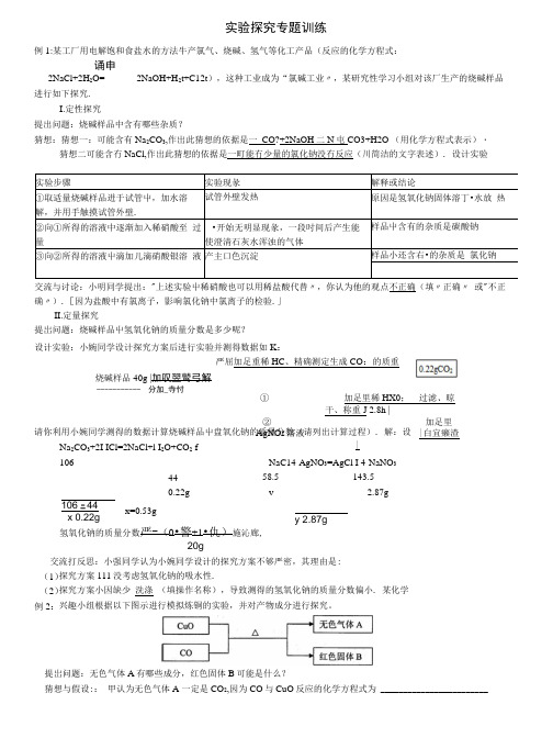 中考化学酸碱盐实验探究典型真题(答案).docx