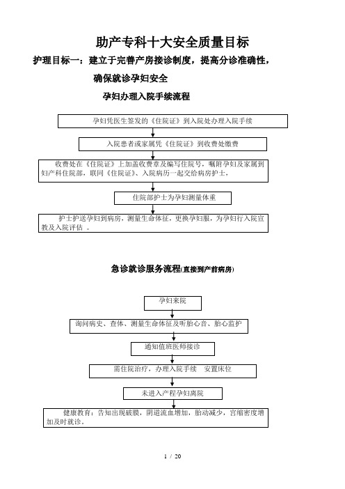 产科十大安全目标指引及流程