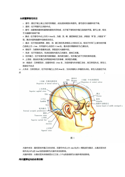 头部重要骨性标志