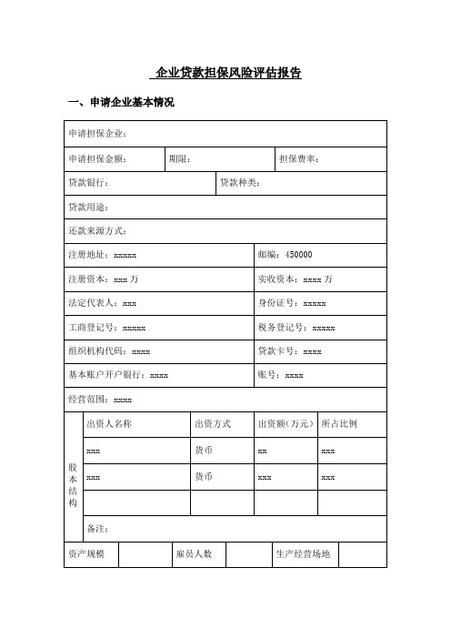 企业贷款担保风险评估报告