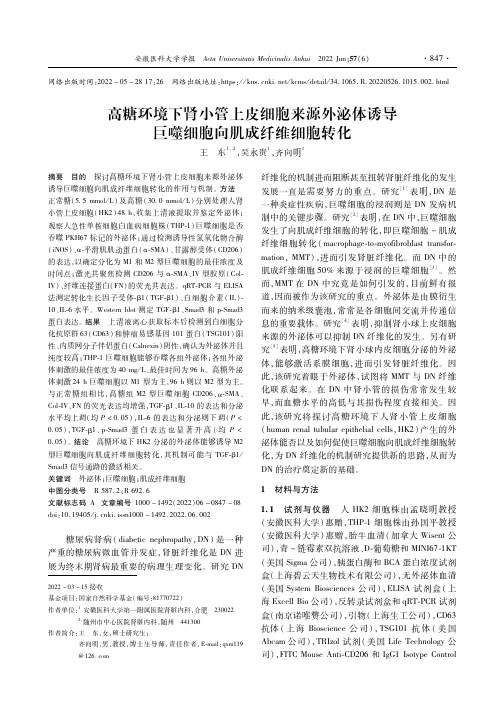 高糖环境下肾小管上皮细胞来源外泌体诱导巨噬细胞向肌成纤维细胞转化