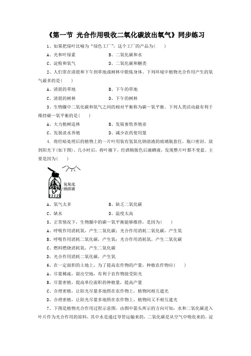 鲁科版六年级生物下册 光合作用吸收二氧化碳放出氧气同步练习3