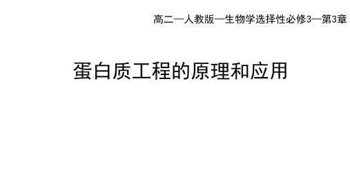 人教版高中生物选择性必修第3册 第3章 基因工程 第4节 蛋白质工程的原理和应用