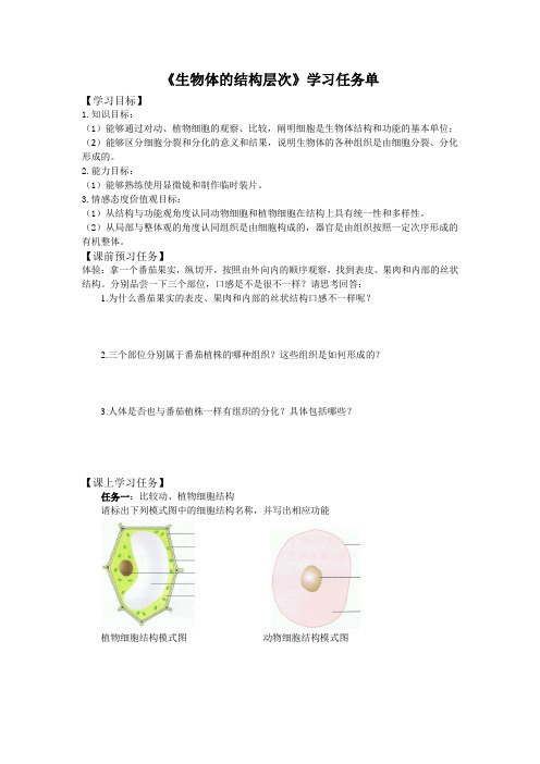 初二生物学(北京版)-复习课-生物体的结构层次-3学习任务单