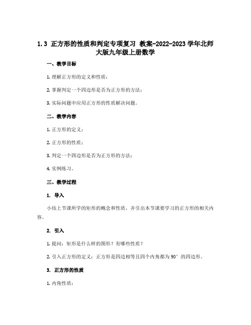 1.3正方形的性质和判定专项复习 教案-2022-2023学年北师大版九年级上册数学