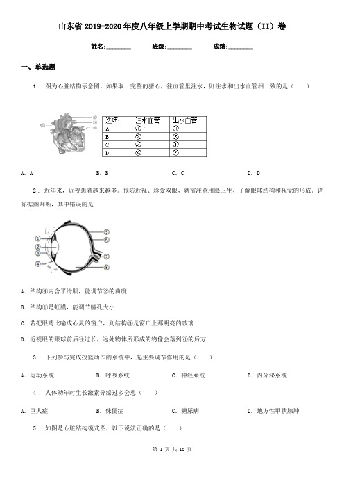 山东省2019-2020年度八年级上学期期中考试生物试题(II)卷