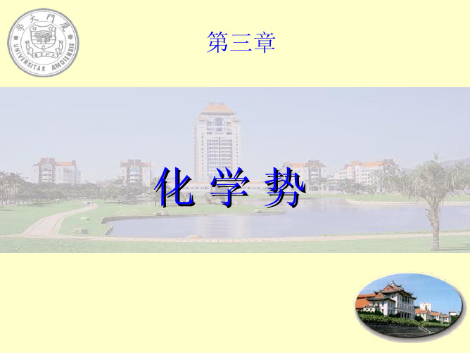 03化学势