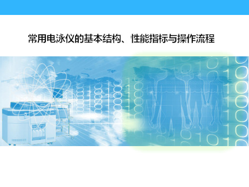 常用电泳仪的基本结构、性能指标与操作流程