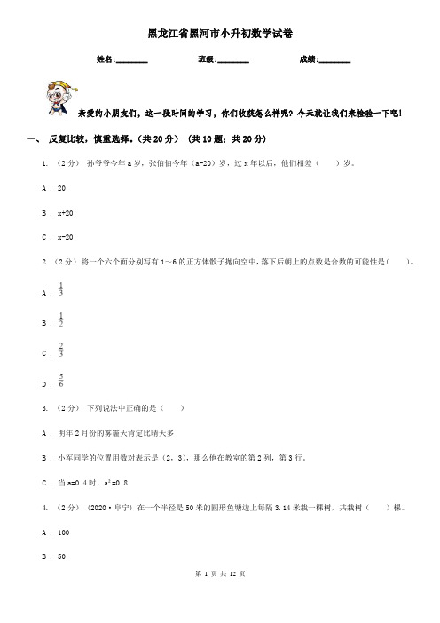 黑龙江省黑河市小升初数学试卷