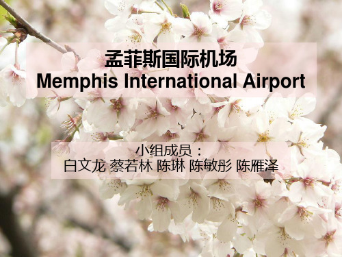 孟菲斯国际机场             Memphis International Airport