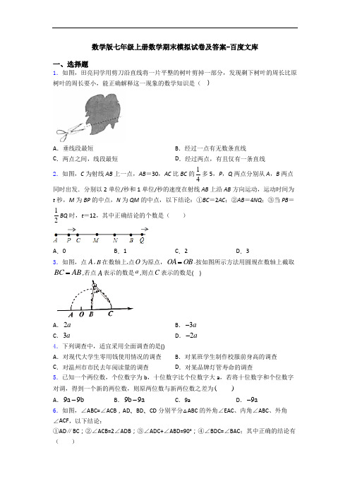 数学版七年级上册数学期末模拟试卷及答案-百度文库