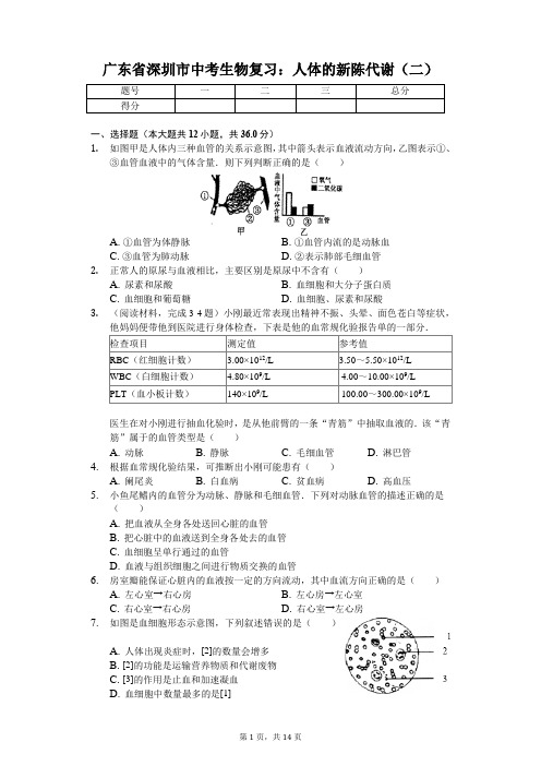 广东省专版 深圳市中考生物复习：人体的新陈代谢(二)