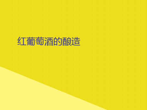 红葡萄酒的酿造PPT资料(正式版)