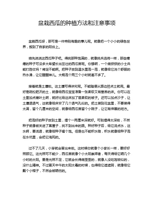 盆栽西瓜的种植方法和注意事项