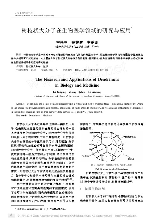 树枝状大分子在生物医学领域的研究与应用