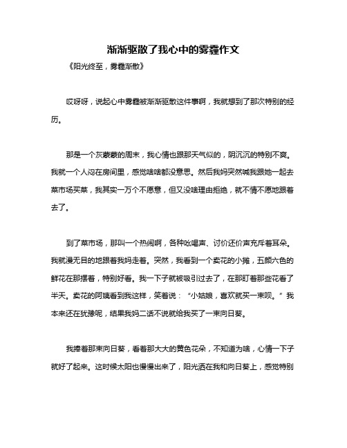 渐渐驱散了我心中的雾霾作文