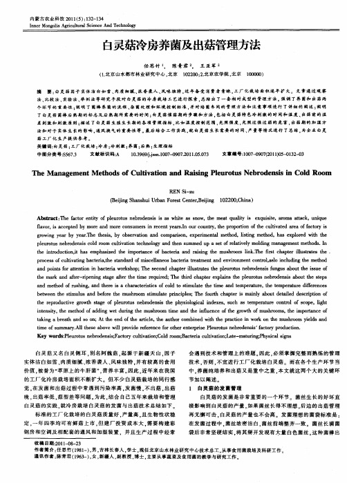 白灵菇冷房养菌及出菇管理方法